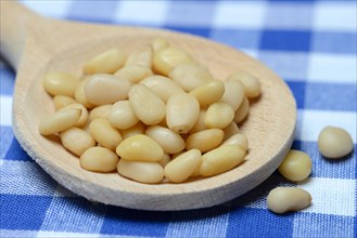 Cedar seeds with cooking spoon