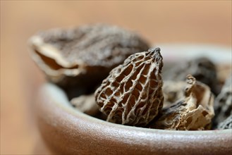 Dried morels in shell