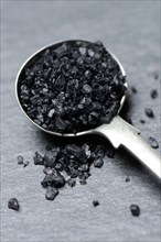 Black Hawaiian salt in spoon