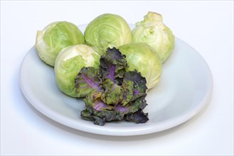 Flower Sprouts and Brussels sprouts