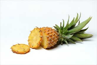 Truncated Pineapple