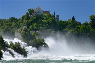 Rhine Falls with Laufen Castle