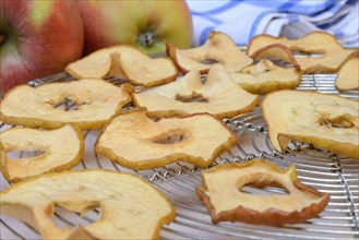 Dried apple slices and apples