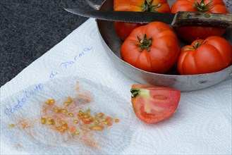 Tomatoescores on household paper
