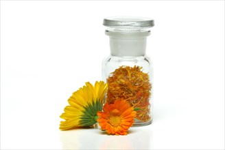 Marigoldsdried petals in vials