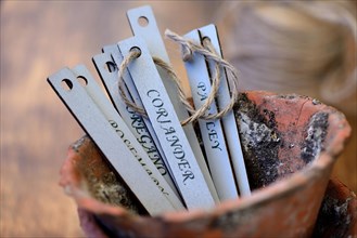 Signs in clay pot