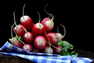 Red-white Red Radish