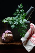 Smooth parsley in grated shell and garlic bulb
