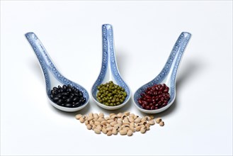 Various dried beans in porcelain spoon