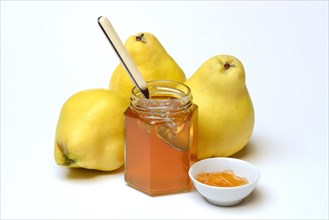 Quince jelly in glass with spoon