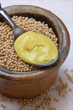 Mustard seeds and mustard