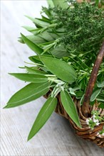 Kitchen herbs in basket