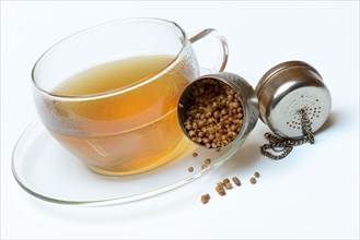 Cup coriander tea and seeds in tea-egg