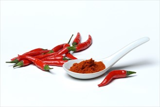 Chili powder in porcelain spoon