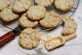 Oatmeal biscuits