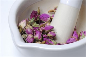 Dried rose buds are crushed in mortar