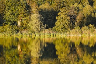 Burgaeschisee