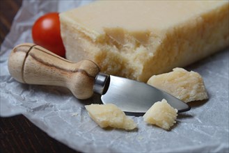 Parmesan with cheese knife