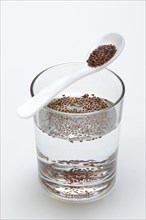 Glass of water and spoon with psyllium