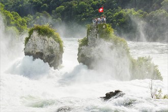 Rhine Falls Rock