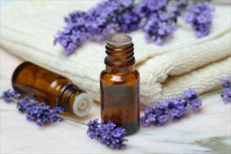 Lavender scented oil