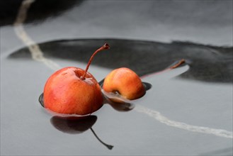 Two decorative apples in water