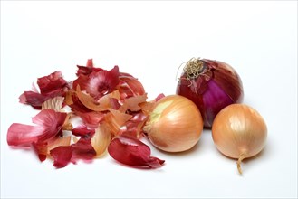Common onionpeel and