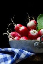 Red-white Red Radish