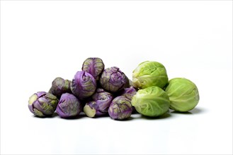 Purple and green Brussels sprouts