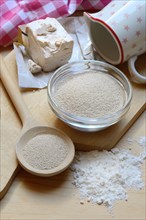 Baker's yeast