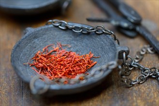 Saffron crocus threads