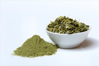 Moringa powder and Moringa leaves in a bowl