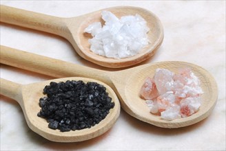 Different kinds of salt on wooden spoons