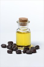 Jojobaoil and seeds