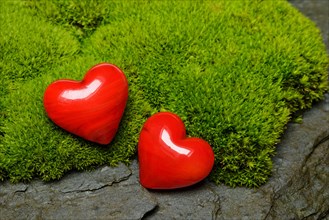 Hearts on moss cushion
