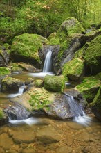 Twannbach Gorge