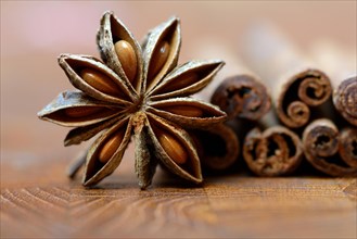 Fruit of star anise and cinnamon sticks