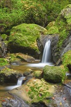 Twannbach Gorge