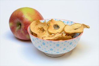 Dried apple slices in peel