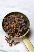 Cloves in ladle