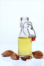 Pilinut oil in bottle and pilinuts