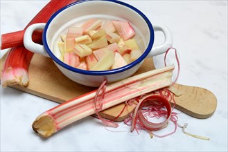 Rhubarb and rhubarb pieces in shell