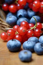 Currants and blueberries in basket