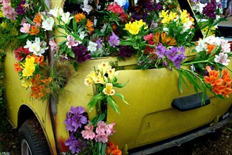 Flower decorated old car