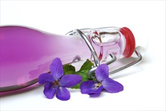 Violet syrup in bottle and violet flowers