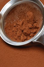 Cocoa powder in sieve