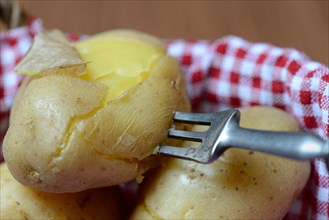 Boiled potatoes with fork in basket