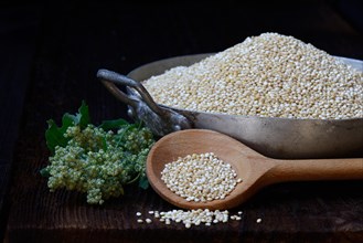 Quinoa in cooking spoon and bowl