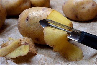 Potato peeling with peeler
