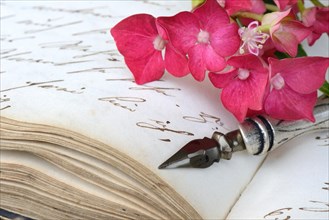 Penholder with quill on book with old manuscript and hydrangea blossom